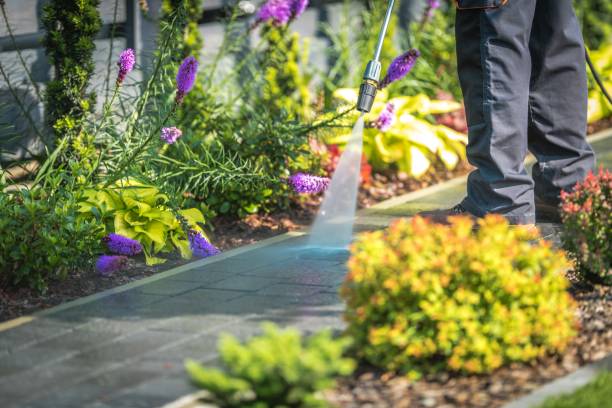 Reliable Ellis, KS Pressure Washing Services Solutions